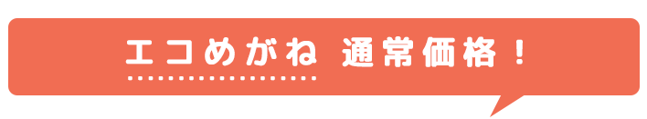 エコめがね 通常価格